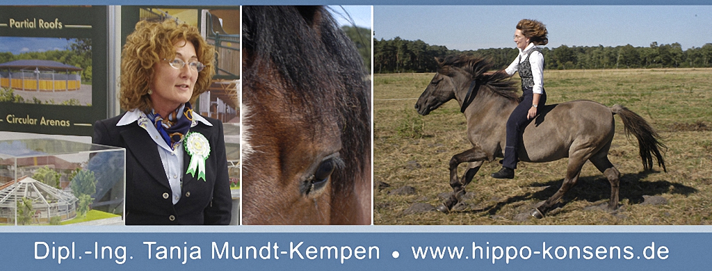 neu hippo konsens